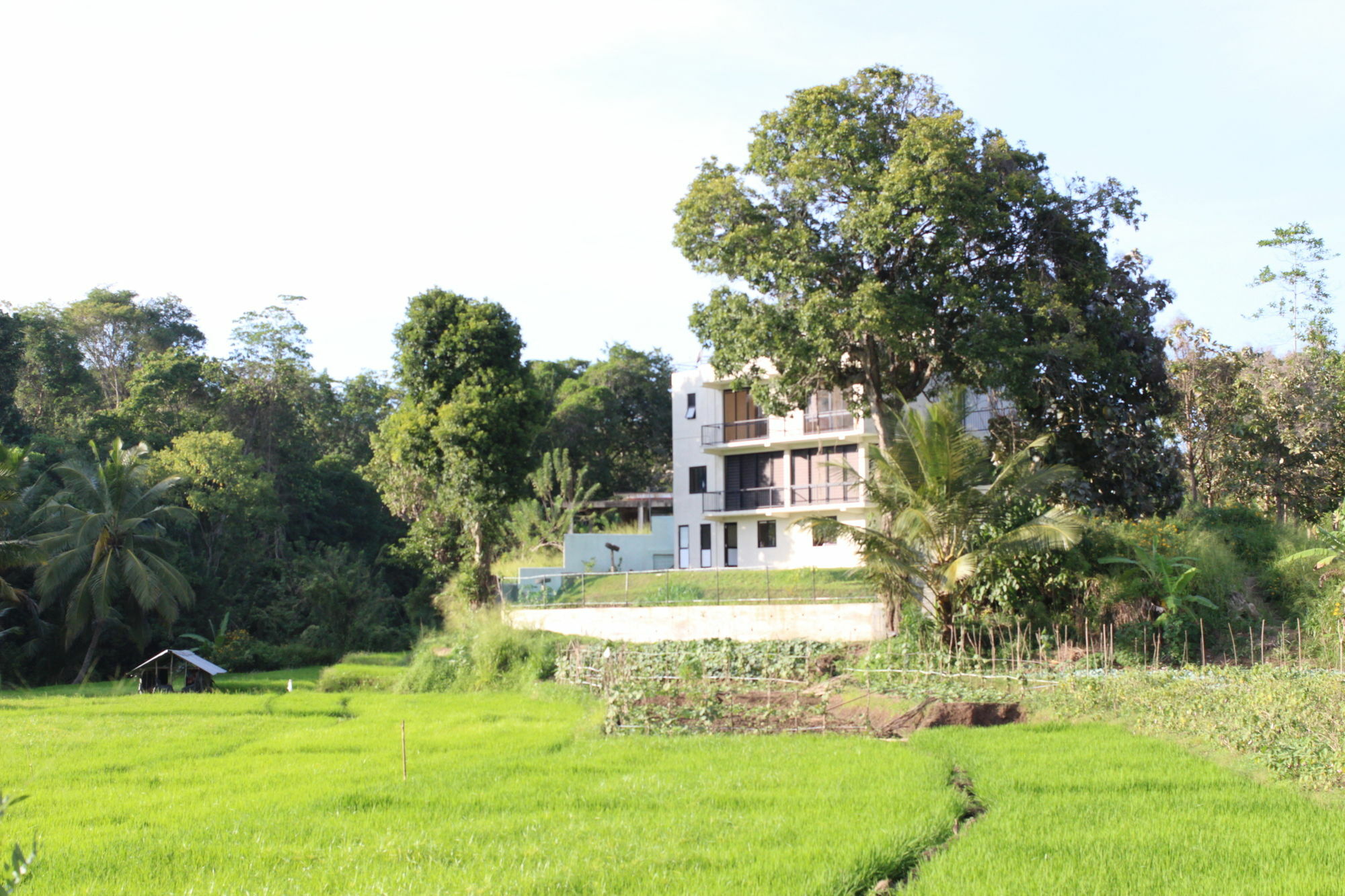 Grandpa Holiday Villa Kandy Exterior photo